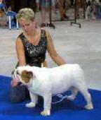 Ixi Warani Action Alet