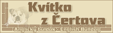 Kvtko z ertova