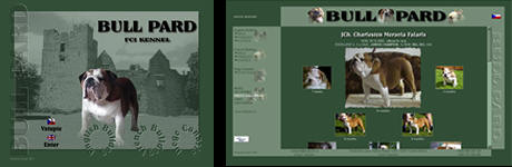 Bullpard